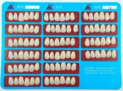 Dental Tooth Veneers Teeth Whitening Resin Temporary Tooth Crowns A1 A2 A3