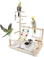 HPAWHOMEPART Bird Playstand Cockatiels Playground Perch Stand Parrot Play Gym for Parakeets Conures Parrotlets and Finches, Easy Assembly Includes Colorful Toys and Perch 1Ladder with Platform