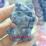 2.2" Natural Unknown Unicorn Skull Quartz Crystal Skull Carved Figurines Gem 1pc