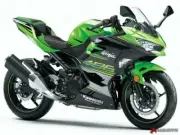 RACE RIDER &/OR PASSENGER SEAT COVERS KAWASAKI NINJA 250 400 Z250 Z450 2018-2019