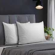 Bedra Pillow Duck Feather Down Pillows - Twin Pack