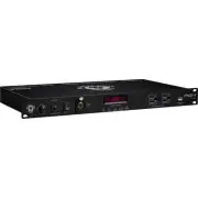 Black Lion Audio PG-1 MK2 Rackmount Power Conditioner (120 V Only)