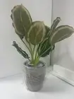 Hearth and Hand with Magnolia Artificial plant Faux Potted Plant 15"- SET of 4