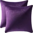 18X18 Throw Pillow Cases Purple: 2 Pack Soft Velvet Square Decorative Covers