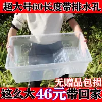 在飛比找淘寶網優惠-超大號特大號烏龜缸帶排水塑料大型龜箱水陸缸烏龜飼養箱無贈品