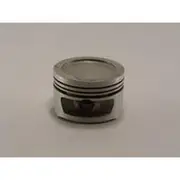 Austral Piston Set - PO1618 STD