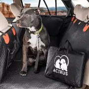 Hard Bottom Back Seat Extender Protector w/ Mesh Window & Storage for Dogs