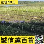 特賣中 農用小拱棚支架 蔬菜棚支架 蔬菜溫室大棚玻璃纖維棒 大棚骨架桿