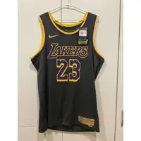 在飛比找蝦皮購物優惠-Nike NBA 湖人隊 2020冠軍 獎勵球衣 Lebro