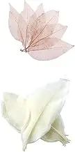 Generic Mixed Natural Dried Magnolia Skeleton Leaves Craft DIY Scrapbook Card Decor