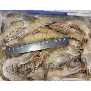 【蝦咪】嚴選活凍生白蝦   21/25～41/50      馬來西亞 /白蝦 /600g
