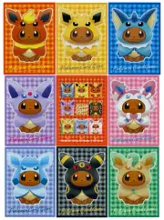 Poncho Eevee MASTER SET Individual Card Sleeves Pokemon Center Japan Originals