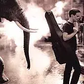 BRYAN ADAMS - On A Day Like Today