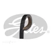 Gates G-Force C12 CVT Belt - 19C3218