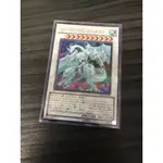 遊戲王 遊戲王卡 流星龍 金亮 STBL-JP040