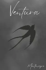 Ventura by Montenegro Paperback Book