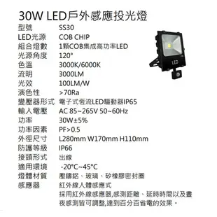 感應式 LED 30W 投光燈 探照燈 投射燈 全電壓 白光/黃光 永光照明EW3-LED-30W-6K-EU-1