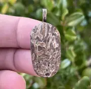 Turtle Shell Fossil Pendant - POLISHED - Jewelry - Necklace - Summerville, SC