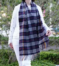 在飛比找Yahoo!奇摩拍賣優惠-Burberry Giant Check Scarf 彩虹格