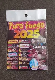 Memoria Usb Puro Fuego 2025.