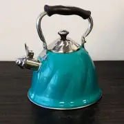 Vogelzang Fireplace Kettles, Cast Iron, L Colour Name:Green