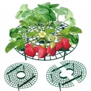 Plant Holder Strawberry Support Adjustable Plant Stand Green Removable