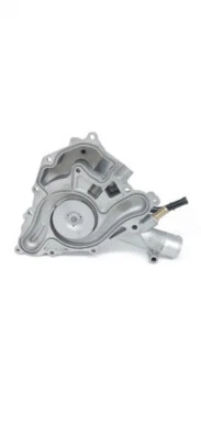 Water Pump For 09-18 Ram Chrysler Dodge 1500 Aspen Durango Ram 2500 3500 ZF47X9