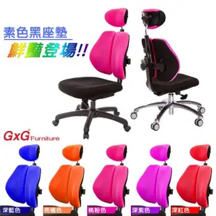 【GXG】高背涼感綿 雙背椅 D字扶手(TW-2995 EA4)