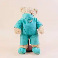 在飛比找蝦皮商城優惠-45公分 醫生熊 泰迪熊 醫師 護理師 手術袍 戴口罩 可繡