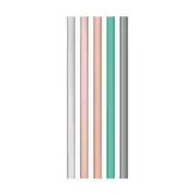 [CamelBak] Horizon Reusable Straw Set 5pcs (Multicoloured)