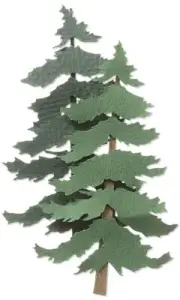 Jolee's By You Dimensional Stickers-Pine Trees - 3 Pack
