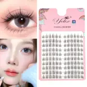 False Eyelashes Extension Kit Lashes Kit Natural Eyelashes Makeup Tool 10 Rows ※