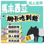 《簡易免開通網卡》馬來西亞網卡 新馬網卡 吉隆坡網卡 新加坡網卡 星馬網卡 新加坡SIM卡 新馬SIM卡 馬來西亞SIM