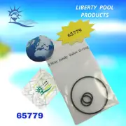 1132/5101620 and R0487100 Liberty 12 Pack 65779 Fits Jandy & Pentair Valves