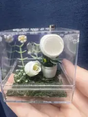 Jumping Spider Sling Enclosure