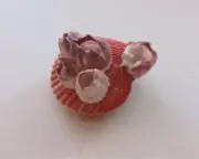 Pecten Nobilis Sea Shell with Barnacles for Curiosity Cabinet Collection