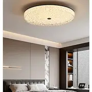 LED Modern Minimalist Round Ceiling Light for Bedroom Living Room Stepless Dimming with Remote Control