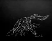 Original Pen Ink Bunny Rabbit Hare Black White Drawing Crossley Art Sketch