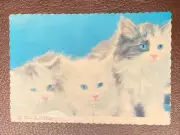 Vintage CAT Comic Postcard "The Three MusCATeers" Kittens / Dexter Chrome c1960s