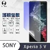 在飛比找遠傳friDay購物精選優惠-【護眼螢膜】Sony Xperia 5 V抗藍光 螢幕保護貼