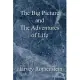 The Big Picture and the Adventures of Life