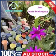 Bee Insect Drinking Cups Bee Cups Thirsty Pollinators Need Safe Places to Drink