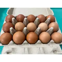 在飛比找蝦皮購物優惠-優質農卵新鮮生鮮雞蛋 蛋 農場直送 白殼雞蛋 紅殼雞蛋 健康