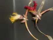 Fred Leighton Paper Feather head dress crowns from NY Fashion Week 2012 Rare