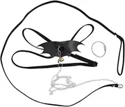 FONDOTIN Fashionable Lizard Leash Set Bearded Dragon Harness Reptile Traction Rope Easy to Carry for Pet Lizards