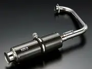BEAMS B309-08-004 Muffler, SS300 Carbon, Up Type, Slip-On