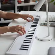 61 Key Foldable Piano, Portable Electric Keyboard with Full Size Keys, Recording Playback, for Beginners, Students, Professionals