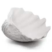 Accessoryway Extra Large Clam Shells Decorative Bowl-White Sea Shells Decorat...
