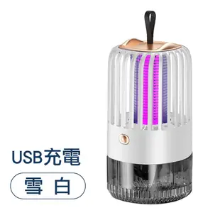 【電擊式捕蚊燈】滅蚊燈 吸入式 補蚊神器 電蚊燈 防蚊燈 (5.4折)