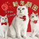 『台灣x現貨秒出』燙金蝴蝶結/福袋/花朵寵物新年項圈 寵物項圈 貓項圈 寵物過年 狗項圈